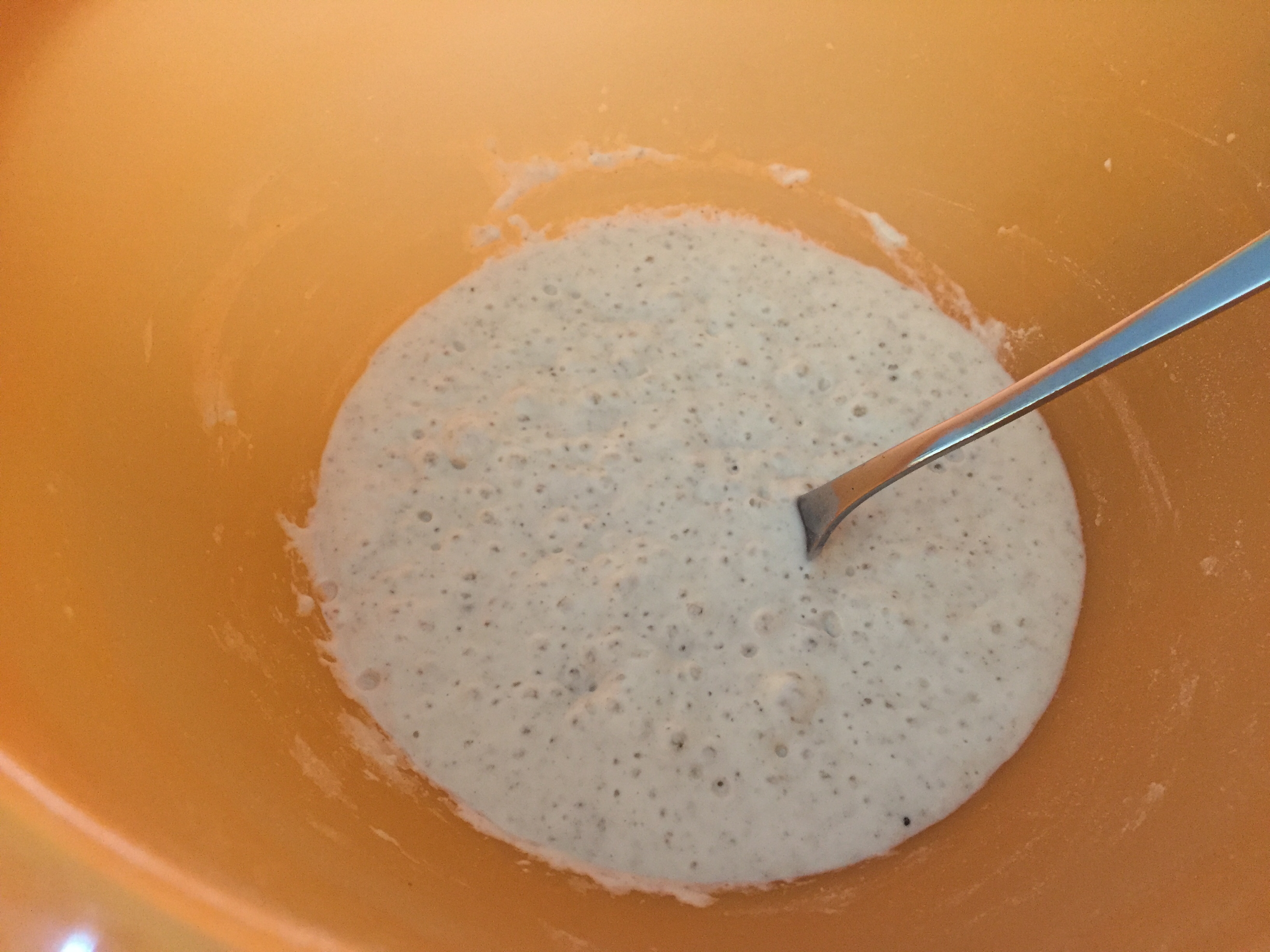 Poolish